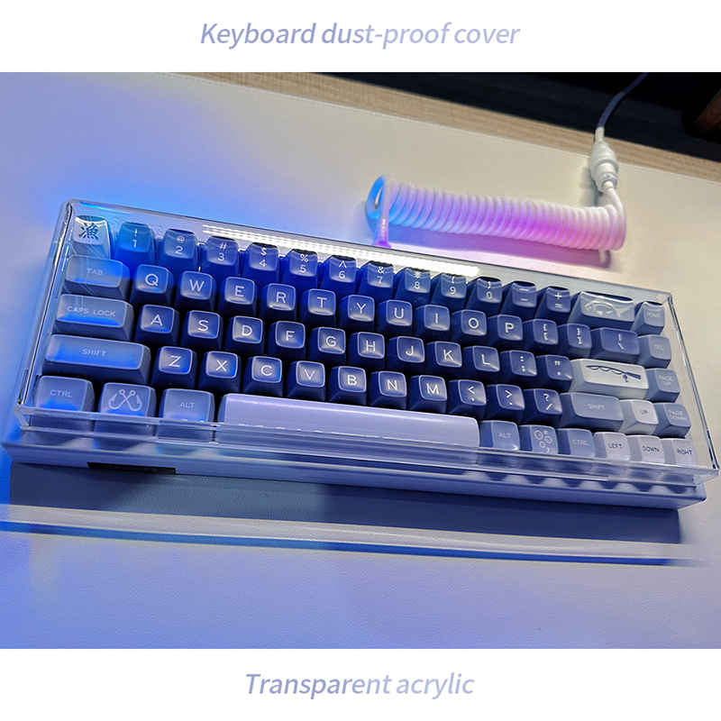 Acrylic Keyboard Clear Protect - đánh giá và giá Gaming Keyboard Budget