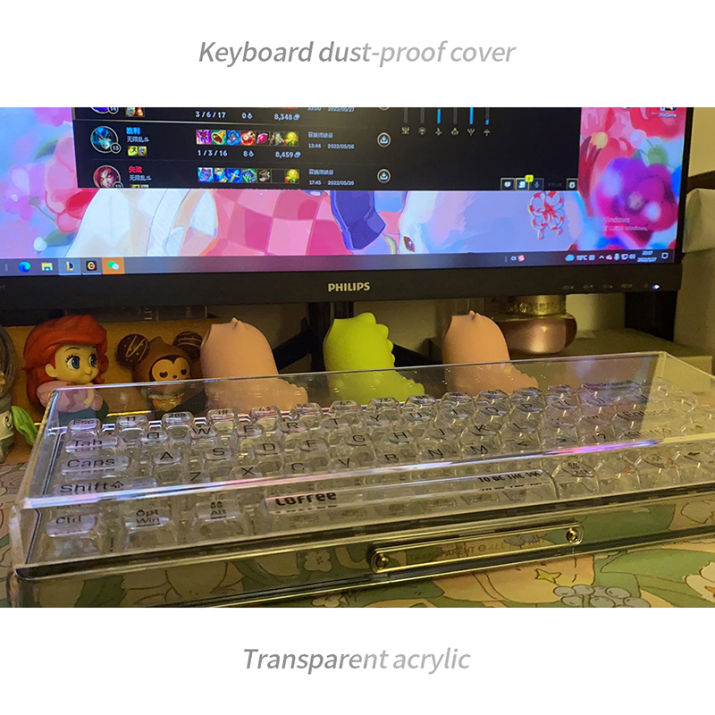 Acrylic Keyboard Clear Protect - đánh giá và giá Gaming Keyboard Budget