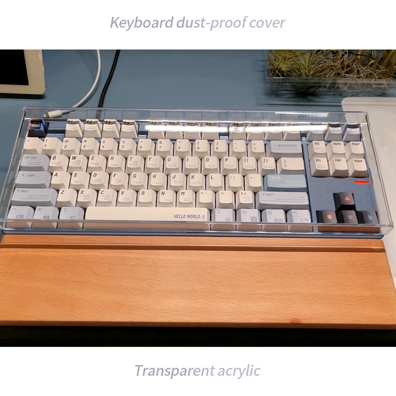 Acrylic Keyboard Clear Protect - đánh giá và giá Gaming Keyboard Budget
