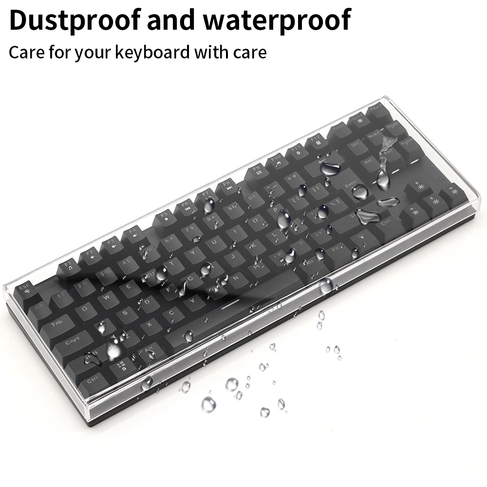 Acrylic Keyboard Clear Protect - đánh giá và giá Gaming Keyboard Budget