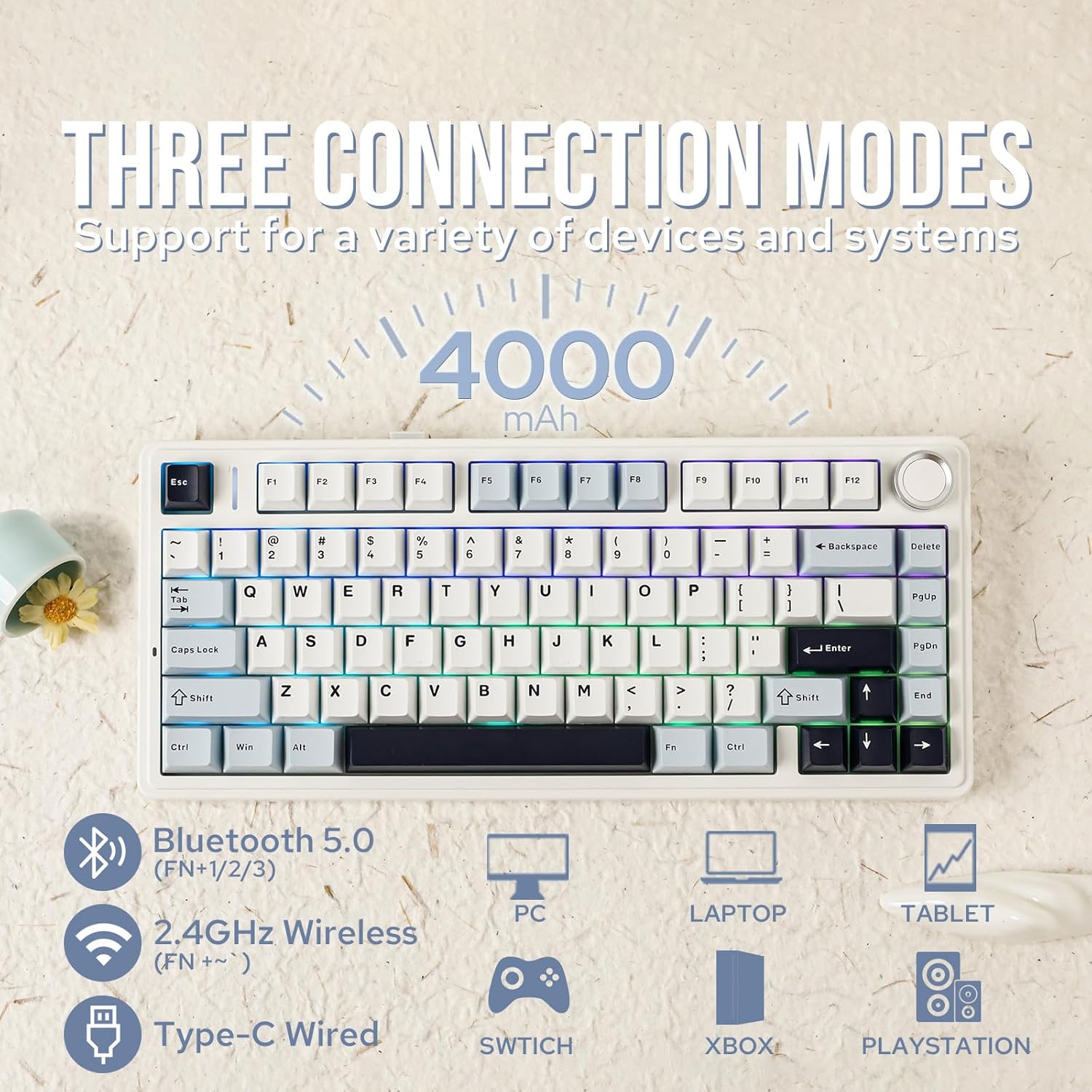 Aula F75 Mechanical Keyboard 7 - đánh giá và giá Gaming Keyboard Mini Mechanical