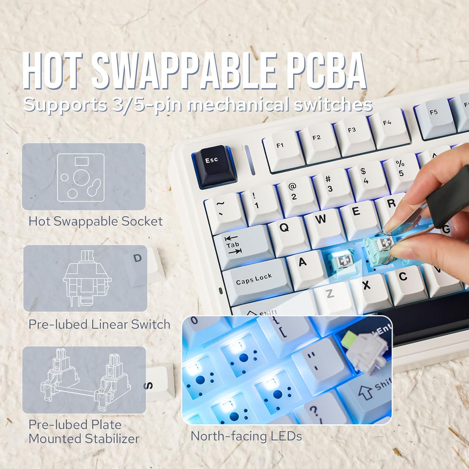 Aula F75 Mechanical Keyboard 7 - đánh giá và giá Gaming Keyboard Mini Mechanical