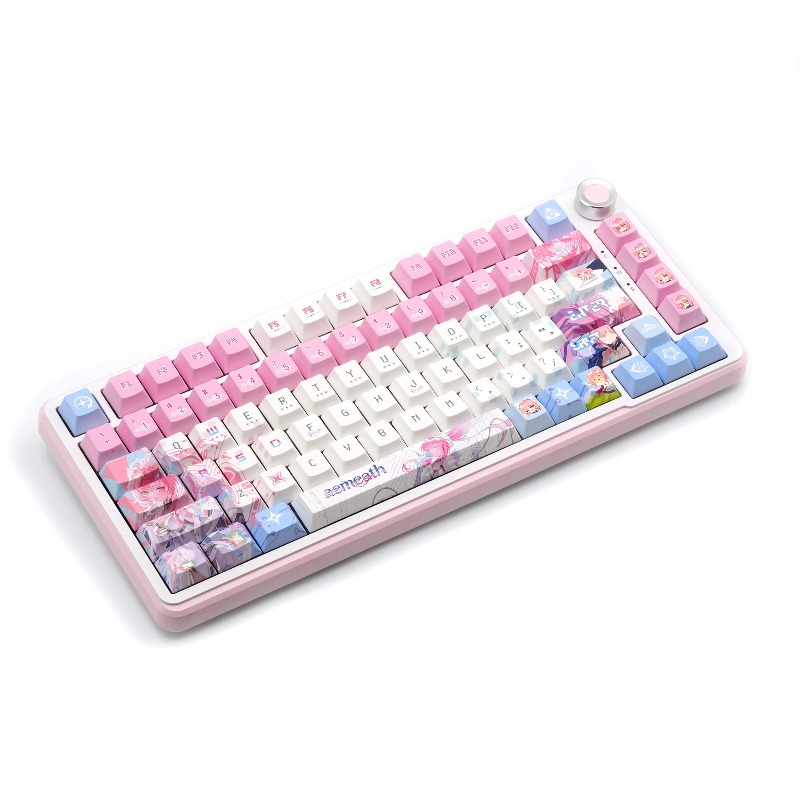 120 Key Aemeath Keycaps Set Ga - đánh giá và giá Gaming Keyboard Theme